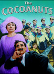Cocoanuts (1929) poster