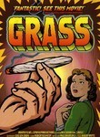 Grass