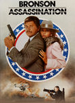 Assassination of Richard Nixon poster