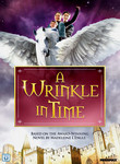 A Wrinkle in Time