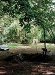 Crash Site/My_Never_Ending_Burial_Plot