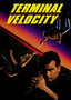 Terminal Velocity