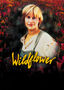 Wildflower