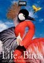 The Life of Birds: Disc 2