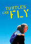 Turtles Can Fly