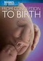From Conception to Birth