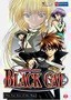 Black Cat: Vol. 3: Cat and Mouse