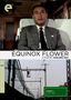 Late Ozu: Equinox Flower