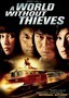 A World Without Thieves