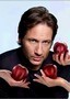 Californication: Season 1: Preview