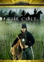 The Colt
