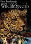 David Attenborough: Wildlife Specials: Disc 2
