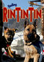 Finding Rin Tin Tin