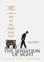 The Sensation of Sight