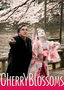 Cherry Blossoms