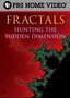 Fractals: Hunting the Hidden Dimension: Nova