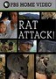 Rat Attack!: Nova