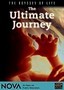 The Ultimate Journey