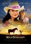 The Wild Stallion