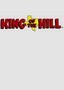 King of the Hill: Season 14