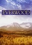 Everwood: Season 1: Disc 3