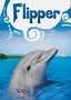 Flipper