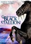 The Adventures of the Black Stallion