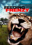 Feeding Frenzy