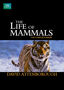 The Life of Mammals: Vol. 4