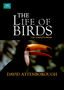 The Life of Birds: Disc 2