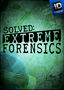 Solved: Extreme Forensics