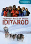 Iditarod: The Toughest Race on Earth