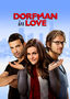 Dorfman in Love Dorfman in Love's Image
