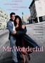 Mr. Wonderful